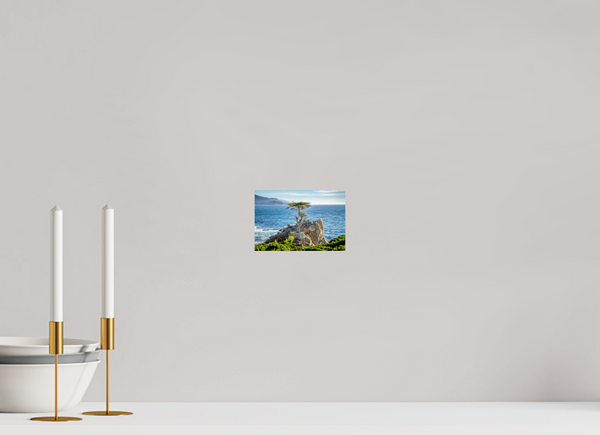The Lone Cypress
