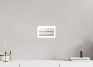 Swans on a Frozen River