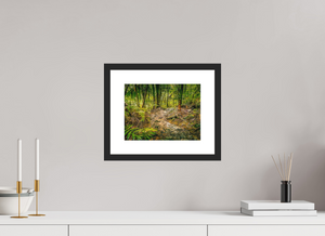 The National Forest of El Yunque