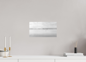 Swans on a Frozen River