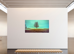 Steadfast in the Wind - Large Print