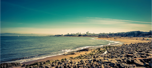 Crissy Field, San Francisco - Large Print