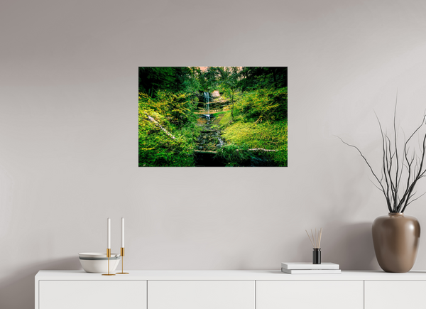 Falling through the Forest