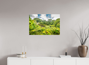 Rainbow Falls Hawaii