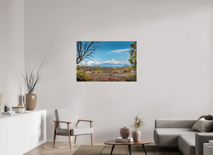 A Volcanic Landscape