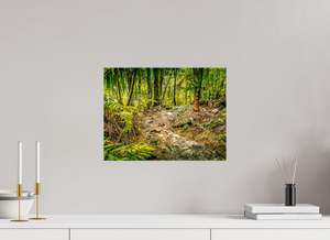 The National Forest of El Yunque