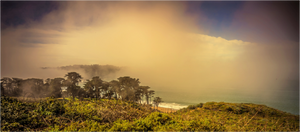 Foggy Day in San Francisco - Large Print