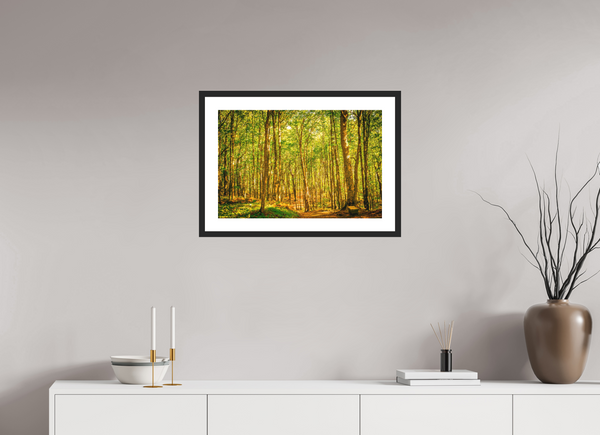 Trees in the Forest