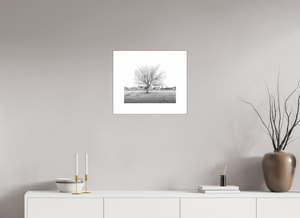 Winter Sentinel of Grand Haven