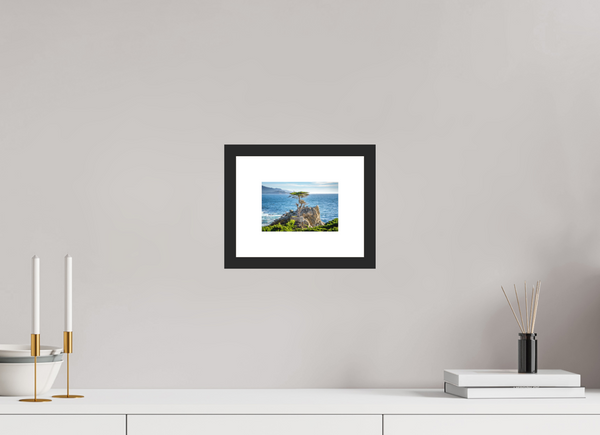 The Lone Cypress