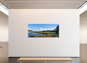 Cypress from 17-mile Drive - Large Print