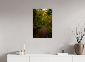 Bridge through the Forest