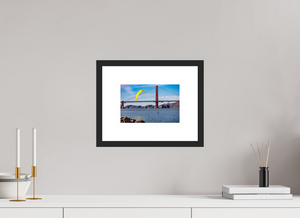 Windsurfing in the Bay