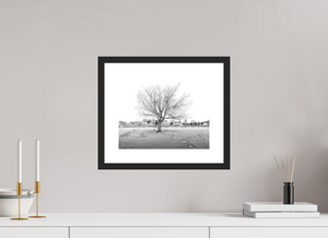 Winter Sentinel of Grand Haven