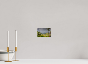 Rainbow over Great Cruz Bay