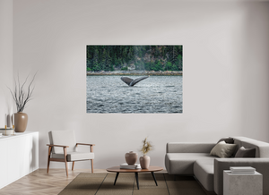 Graceful Entry - Large Print