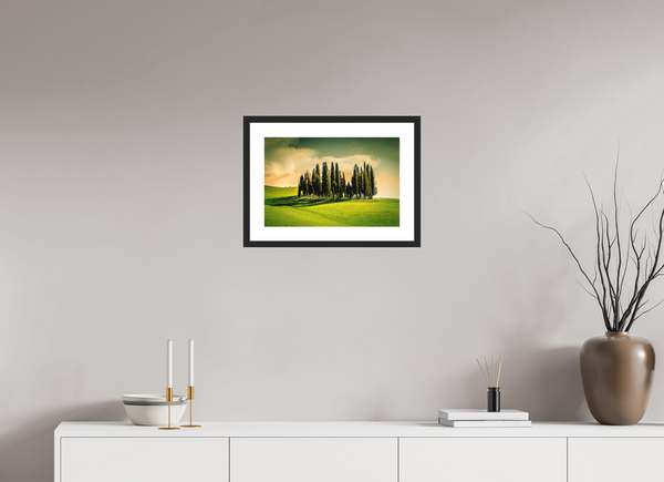 Cypress' in the Dawn
