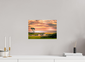 Pebble Beach 17-mile Road