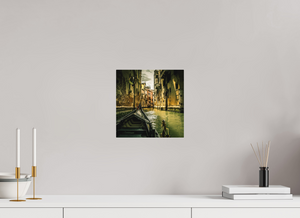 View from the Gondola