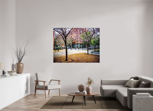Vibrant scene of San Francisco's trees showcased in "Blossoms Between the Blocks - Large Print" for your decor.