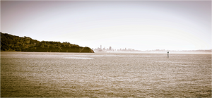 San Francisco from Tiburon - Large Print