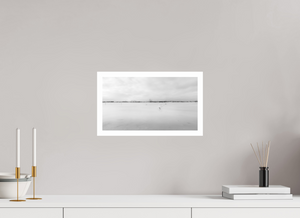 Swans on a Frozen River