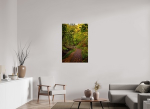 Bridge through the Forest