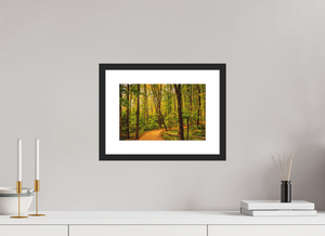 Path to Least Resistance