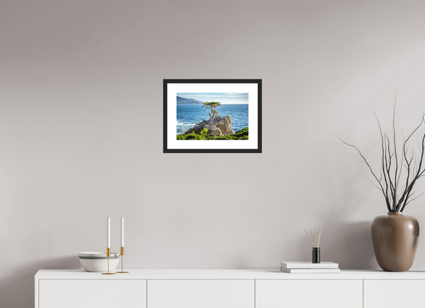 The Lone Cypress