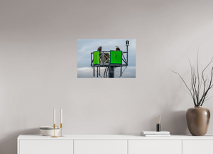 Eagles Standing Watch in Alaska