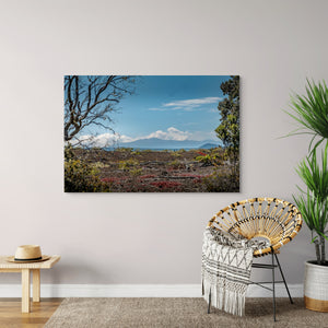 A Volcanic Landscape