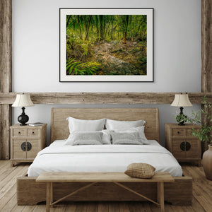 The National Forest of El Yunque